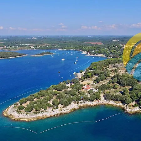 Franjo 1266 * Flengi